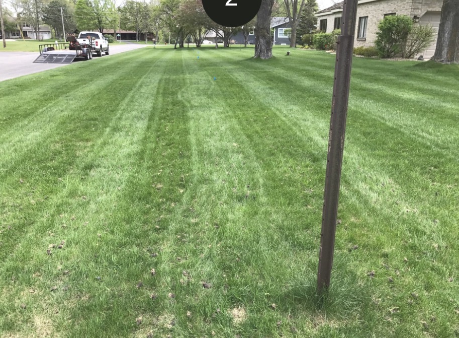 Weekly Lawn Care