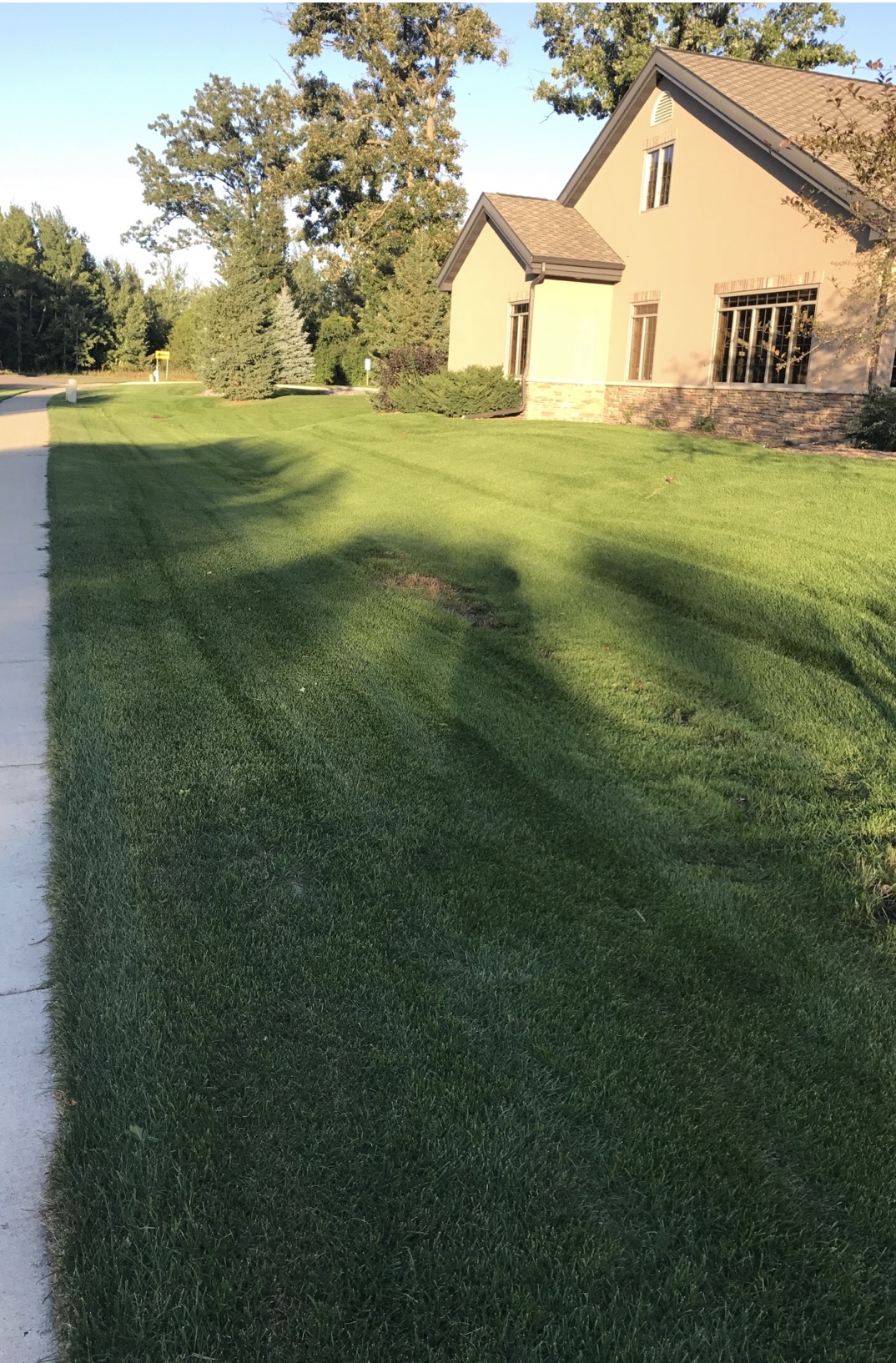 Freshly mowed green lawn in Central Minnesota by A-1 Lawn Service